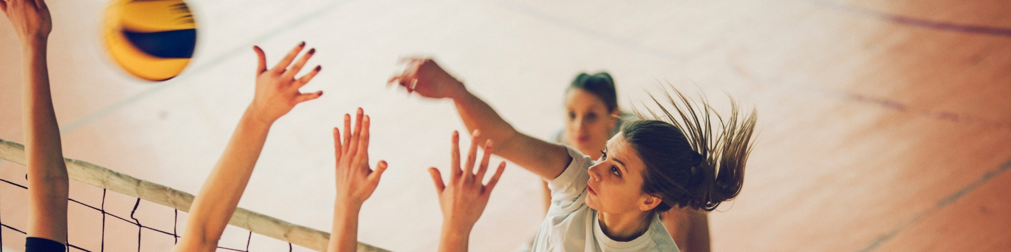 Le dispositif sportif de haut niveau de la HE2B accompagne les étudiants sportifs de haut niveau afin de concilier études supérieures et exigences sportives.
