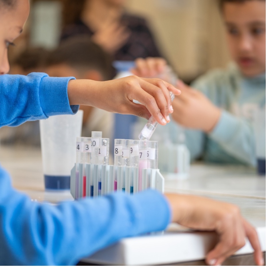 Haute Ecole Bruxelles Brabant